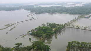 Key tiger habitat swamped by deadly Bangladesh cyclone