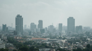 Indonesia says capital pollution spike due to weather, vehicles