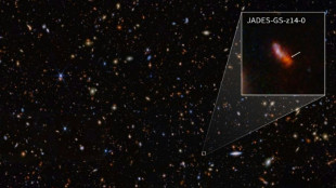 Webb telescope finds most distant galaxy ever observed, again